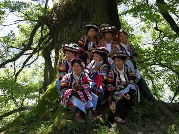 勿角白马藏族风情园--九寨沟县